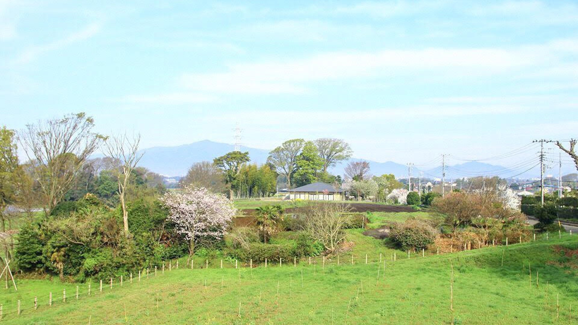 🌳 가나가와 현립 치가사키사토야마 공원 이미지 8